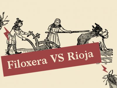 Filoxera vs Rioja